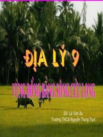 ĐỊA LÝ 9-TIẾT 41-VÙNG ĐỒNG BẰNG SCL(TT)