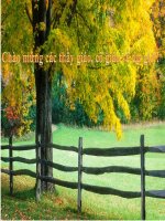 Toán tiết 163_ Ôn tập các phép tính phân số