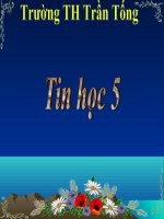 Chèn hình vẽ vào văn bản