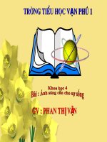 ÁNH SÁNG CẦN CHO SỰ SỐNG