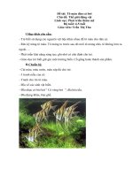 Tô màu đàn cá bơi