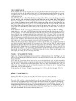 Giới thiệu Thành Điện Hải - Đà Nẵng