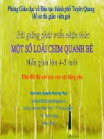 Bé tìm hiểu về các loài chim