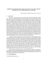 NGHIÊN cứu ĐÁNH GIÁ THỰC TRẠNG sản XUẤT và đa DẠNG NGUỒN GEN bưởi ở xã cát QUẾ, HOÀI đức, TP  hà nội