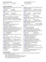 DE THI HK 2 TIN 9 (8 DE)