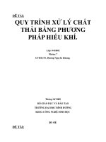 quy trình xử lý chất thải bằng phương pháp hiếu khí