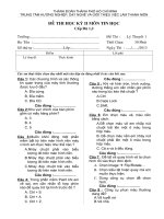 Đề thi tin học cấp tiểu học