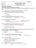 De kiemtracuoinam lop 4 -KH-LS-ĐL+dapan