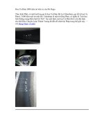 hoa ưu Đàm 3000 năm moi no