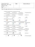 Đề thi tin học 7 Học kỳ 2