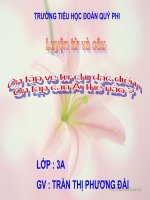 LTVC ÔN TẬP Tuần 14