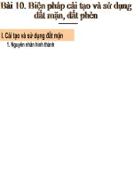 cai tao v su dung dat man dat phen