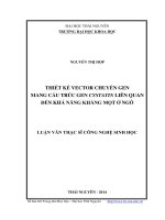 Thiết kế vector chuyển gen mang cấu trúc gen cystatin liên quan đến khả năng kháng mọt ở ngô