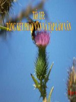 Tiet 133 Tong ket Phan van