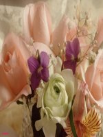 English 6 Unit 5 A 5,6,7