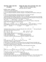 ĐỀ KIỂM TRA HỌC KÌ II LÍ 11 NÂNG CAO