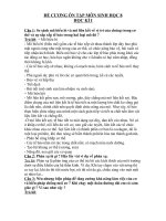 de cuong on tap lich su 8