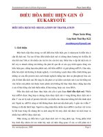 ĐIỀU HÒA DỊCH MÃ GEN Ở PROCARYOTE