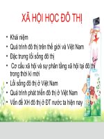 xã hội học đô thị