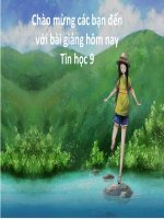 bài 11:MÀU SẮC TRÊN TRANG CHIẾU