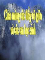 Học vần im, um tuần 15