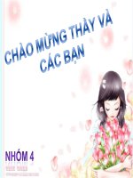 hóa công nghệ-môi trường phần cháy rừng