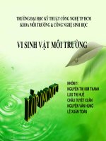 thuyết trình vi sinh môi trường