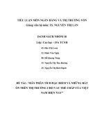 TIỂU LUẬN MÔN NGÂN HÀNG VÀ THỊ TRƯỜNG VỐN HÃY PHÂN TÍCH ĐẶC ĐIỂM VÀ NHỮNG BẤT ỔN TRÊN THỊ TRƯỜNG CHO VAY THẾ CHẤP CỦA VIỆT NAM HIỆN NAY