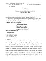 BÁO CÁO TỔNG KẾT CÔNG TÁC ĐỘI 2012 - 2013