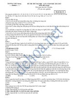 de hoa cuc kho co da