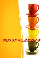 hướng dẫn cài cấu hình domain đồng hành song song