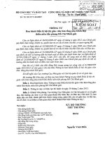 Điều lệ thi Tổng phụ trách giỏi(thông tư 52)