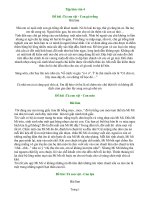 TLV lop 4 Tả con vật.doc