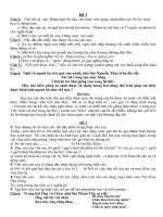 Đề KS HS giỏi môn Tiếng Việt Lớp 3