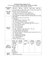 Hiện tượng tự nhiên lớp mầm t1