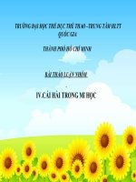 cái hài trong mĩ học