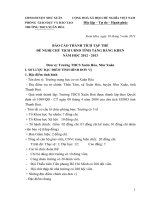 Báo cáo thanh tich tap the 2012-2013