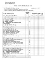 PHIẾU ĐÁNH GIÁ VIÊN CHUẨN NGHỀ NGHIỆP GV