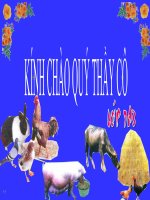 Sản xuất thức ăn vật nuôi_Công nghệ 7