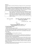 Mẫu báo cáo thanh tich tập thể(01), cá nhân (02)