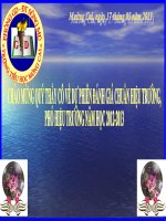 hướng dân đánh giá chuẩn hiệu trưởng, phó HT