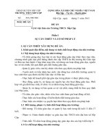 Đề án vị trí việc làm