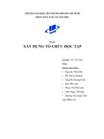 Tiểu luận môn thay đổi tổ chức XÂY DỰNG TỔ CHỨC HỌC TẬP