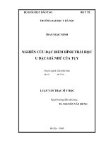 Nghiên cứu đặc điểm hình thái học u đặc giả nhú của tụy