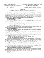 BÁO CÁO ỦY BAN KIỂM TRA CÔNG ĐOÀN