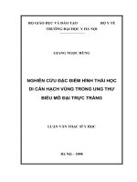 Nghiên cứu đặc điểm hình thái học di căn hạch vùng trong ung thư  biểu mô đại trực tràng