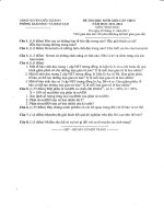 Đề thi học sinh giỏi cấp cơ sở