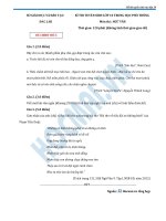 Đề thi thử vào lớp 10 năm 2013