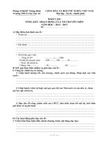 báo cáo tổng kết tổ chuyên môn