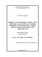 nghiên cứu sinh khối và khả năng hấp thụ co2 của rừng vầu đắng (indosasa angustata mc. clure) thuần loài tại huyện na rì, tỉnh bắc kạn